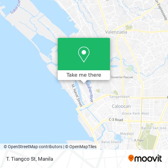 T. Tiangco St map