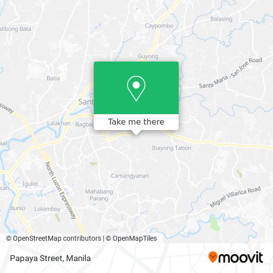 Papaya Street map