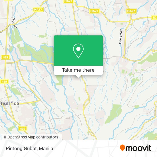 Pintong Gubat map