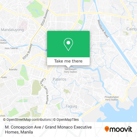 M. Concepcion Ave / Grand Monaco Executive Homes map