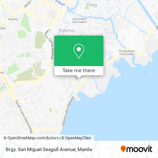 Brgy. San Miguel Seagull Avenue map