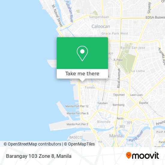 Barangay 103 Zone 8 map