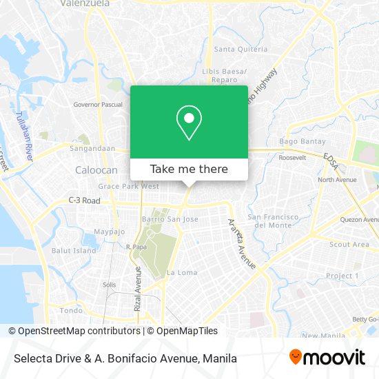Selecta Drive & A. Bonifacio Avenue map