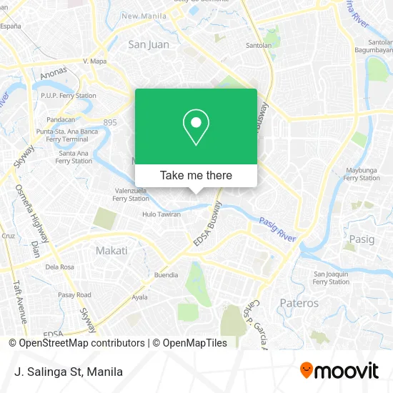 J. Salinga St map