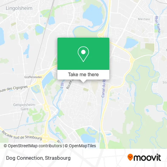 Dog Connection map
