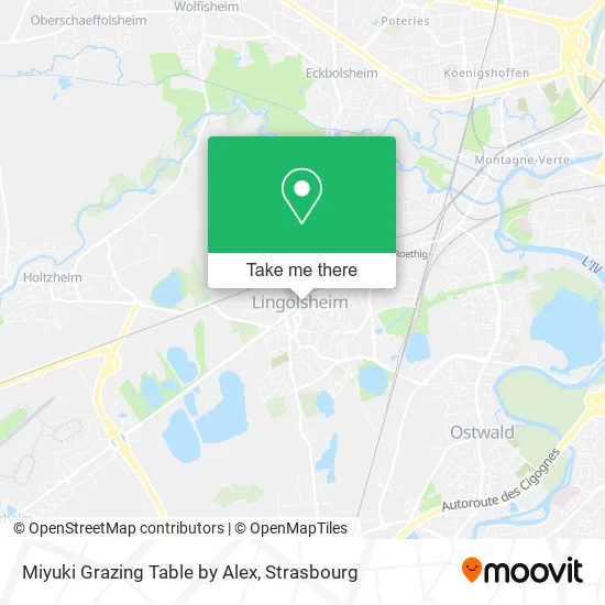 Miyuki Grazing Table by Alex map