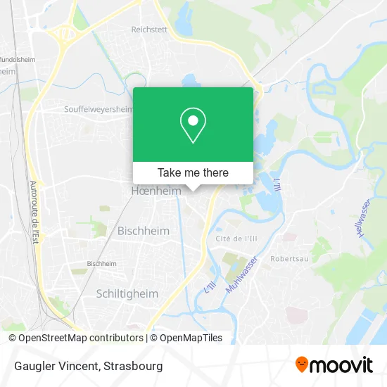 Gaugler Vincent map