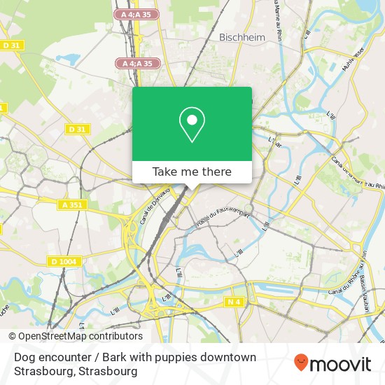 Dog encounter / Bark with puppies downtown Strasbourg map