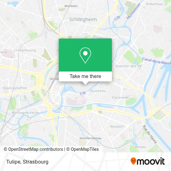Tulipe map