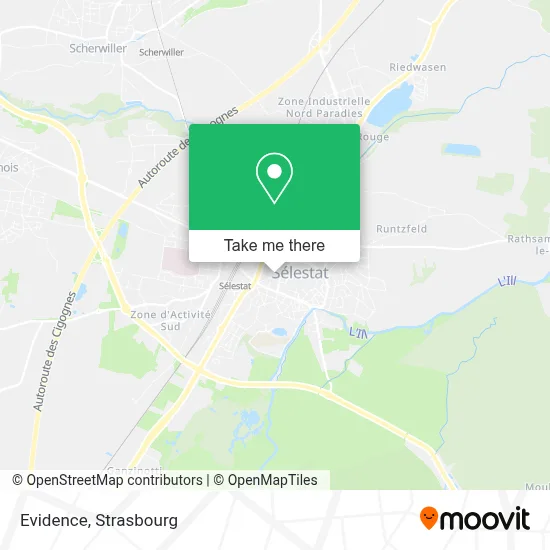 Evidence map