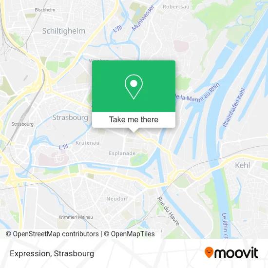 Expression map