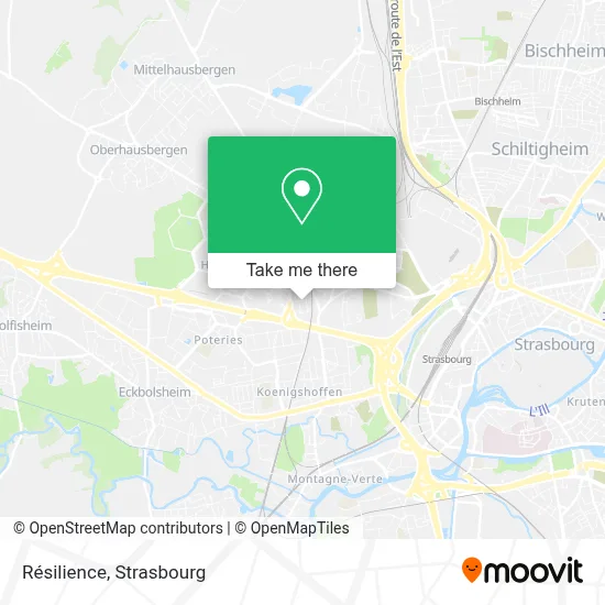 Résilience map