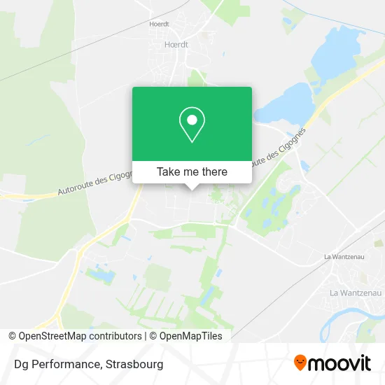 Dg Performance map