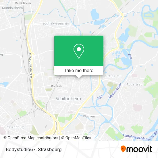 Bodystudio67 map