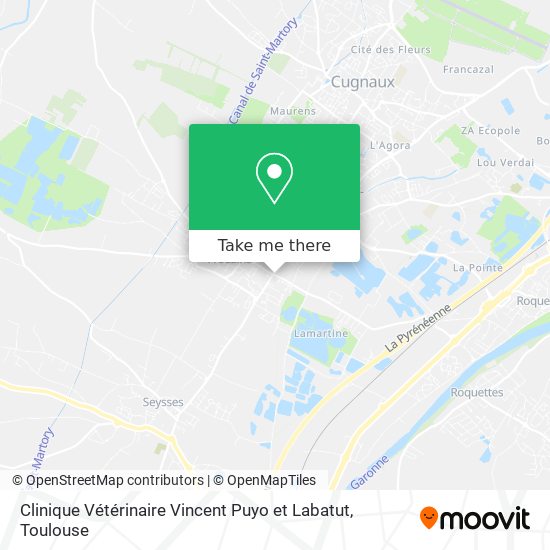 Mapa Clinique Vétérinaire Vincent Puyo et Labatut