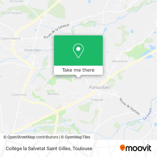 Collège la Salvetat Saint Gilles map