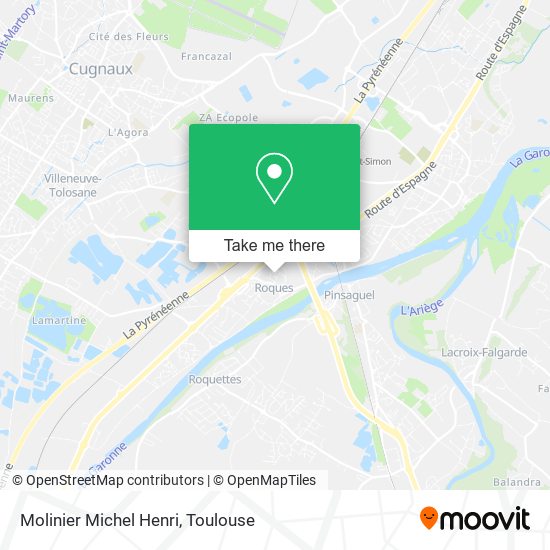 Molinier Michel Henri map