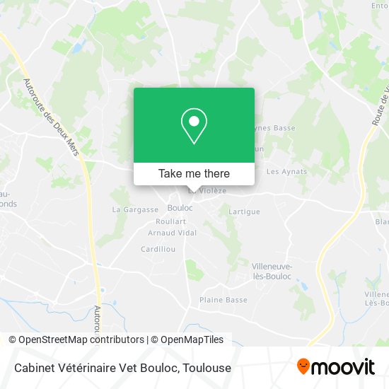Cabinet Vétérinaire Vet Bouloc map