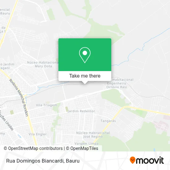 Rua Domingos Biancardi map