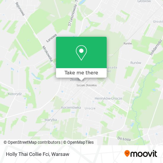 Holly Thai Collie Fci map