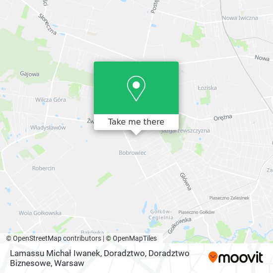 Lamassu Michał Iwanek, Doradztwo, Doradztwo Biznesowe map