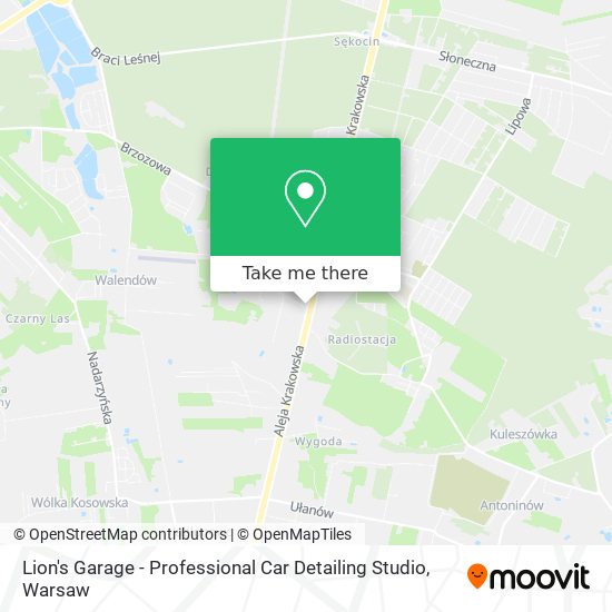 Lion's Garage - Professional Car Detailing Studio map