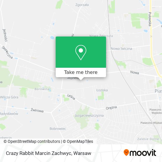 Crazy Rabbit Marcin Zachwyc map