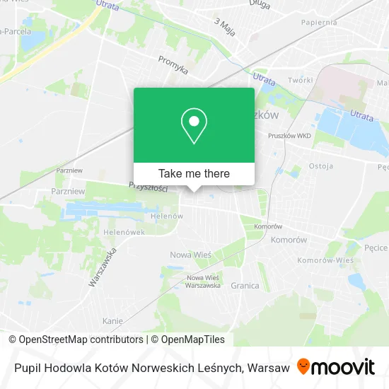 Карта Pupil Hodowla Kotów Norweskich Leśnych