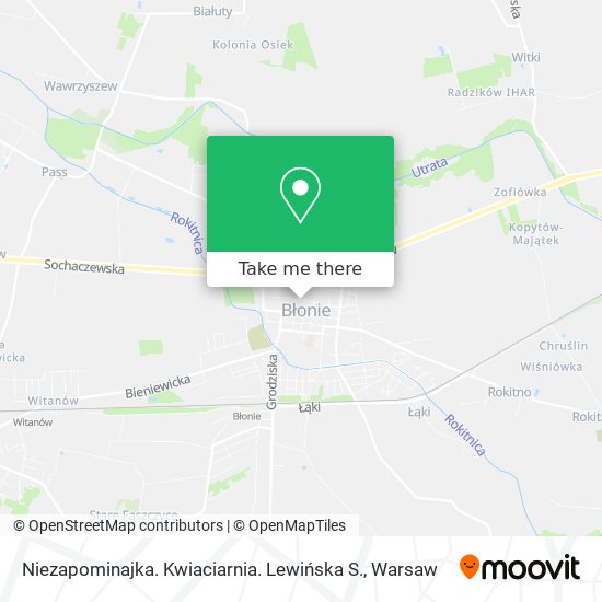 Niezapominajka. Kwiaciarnia. Lewińska S. map