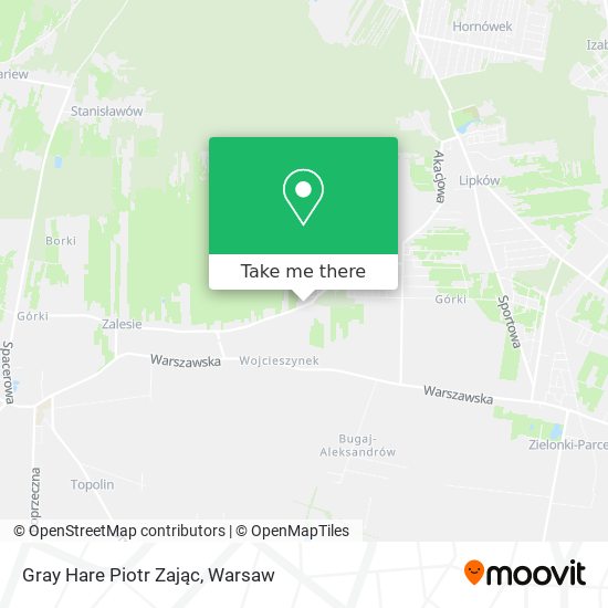 Gray Hare Piotr Zając map