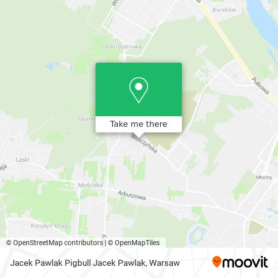 Jacek Pawlak Pigbull Jacek Pawlak map