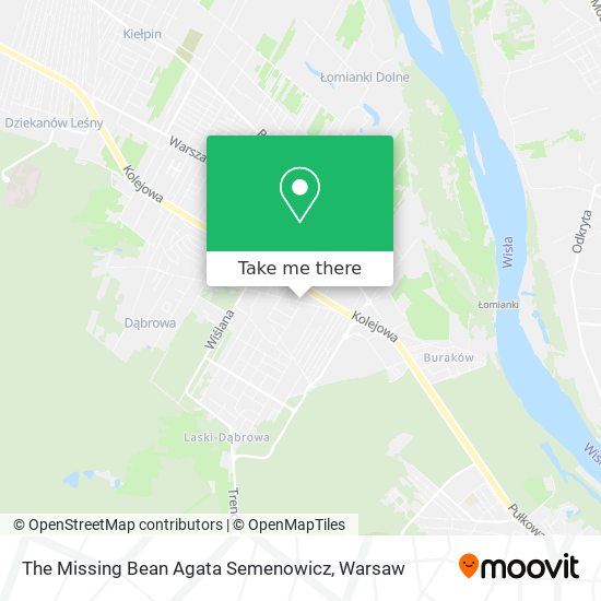 The Missing Bean Agata Semenowicz map