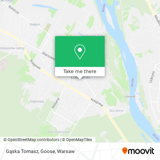 Gąska Tomasz, Goose map