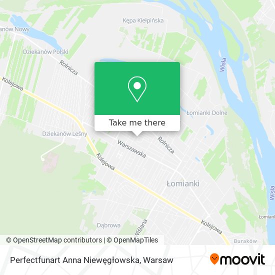 Perfectfunart Anna Niewęgłowska map