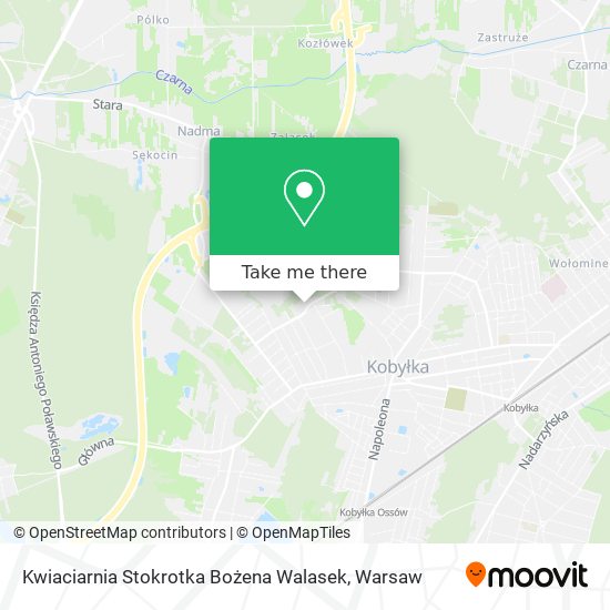 Карта Kwiaciarnia Stokrotka Bożena Walasek