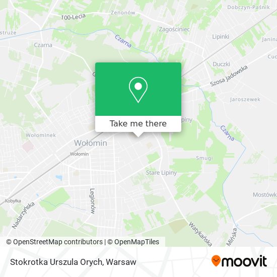 Stokrotka Urszula Orych map