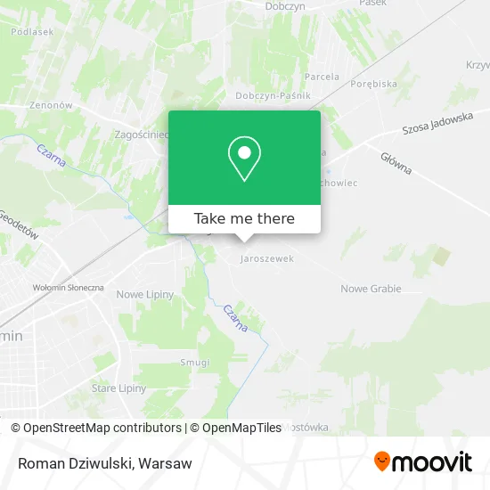 Roman Dziwulski map