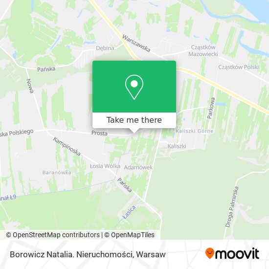 Borowicz Natalia. Nieruchomości map