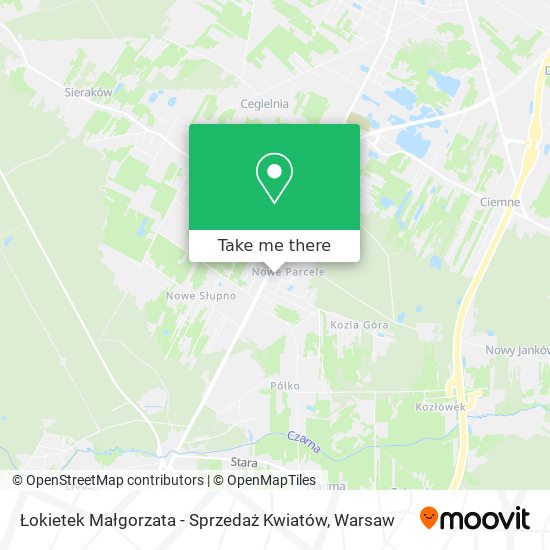 Łokietek Małgorzata - Sprzedaż Kwiatów map