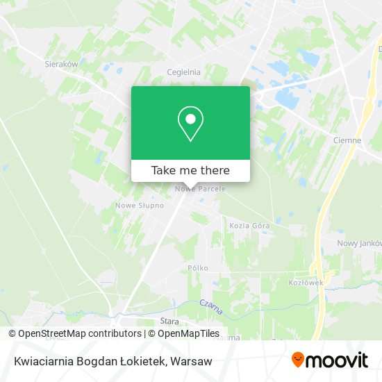 Kwiaciarnia Bogdan Łokietek map