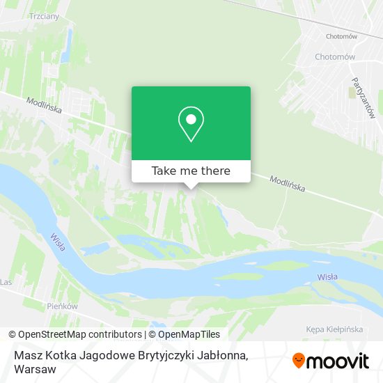 Masz Kotka Jagodowe Brytyjczyki Jabłonna map