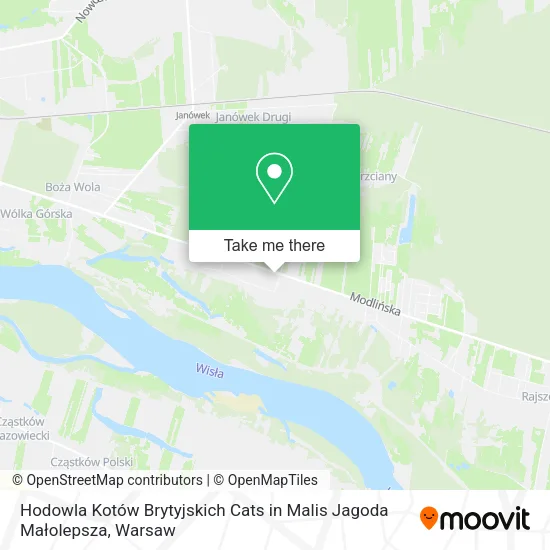 Hodowla Kotów Brytyjskich Cats in Malis Jagoda Małolepsza map