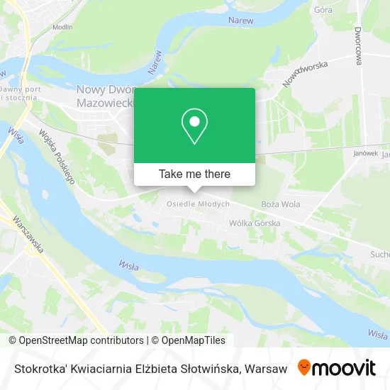 Stokrotka' Kwiaciarnia Elżbieta Słotwińska map