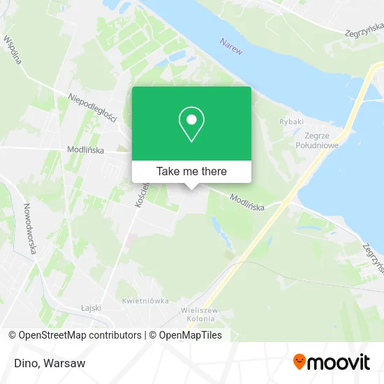 Dino map