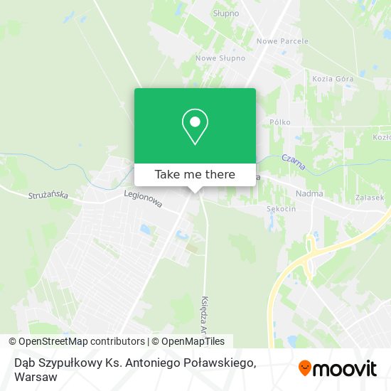 Dąb Szypułkowy Ks. Antoniego Poławskiego map