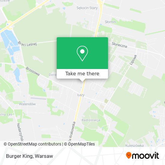 Burger King map