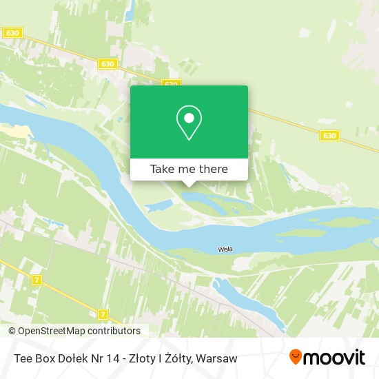 Tee Box Dołek Nr 14 - Złoty I Żółty map