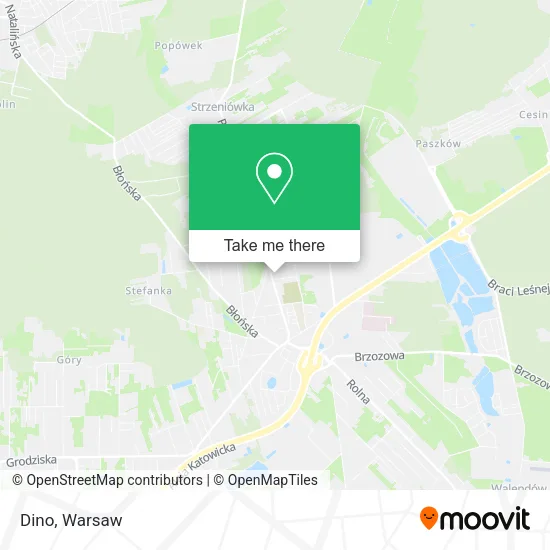 Dino map