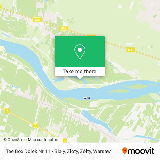 Tee Box Dołek Nr 11 - Biały, Złoty, Żółty map