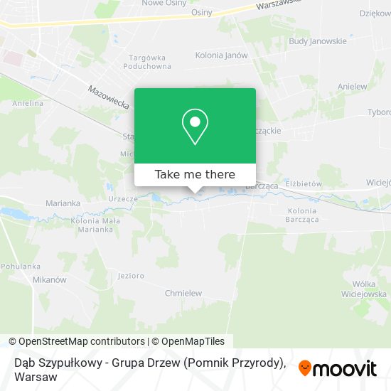 Dąb Szypułkowy - Grupa Drzew (Pomnik Przyrody) map